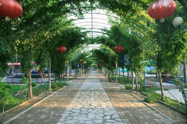 園林景觀 山東奧景園林 園林工程價(jià)格 園林景觀 山東奧景園林 園林工程型號(hào)規(guī)格